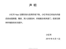 草莓小圆子：我为什么离开小红书——一位实习生眼中的“国民种草机”