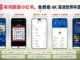 球迷集结！鸿蒙版小红书上线世界杯专题赛事直播一键预约系统日历轻松查看
