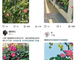潜江城市更新交出亮眼成绩单